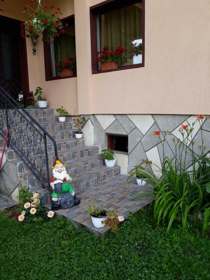 Apartament Laura Törcsvár Kültér fotó